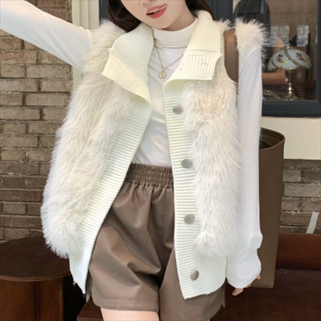 【送料無料】 アウター 2色 羽織り ファーベスト ショート ショート丈 ノースリーブ 無地 ファー かわいい 大人可愛い 綺麗 シンプル カジュアル 大人 おしゃれ お洒落 大人女子 こなれ感 コンサバ 定番アイテム 体型カバー 冬 30代 40代 レディース 女性用 ママ ママ服 デート お出かけ 女子会 お呼ばれ お茶会 授業参観 休日 アウトドア 着回し 普段使い 韓国 韓国系 ファッション スタイル 楽ちん あったか 暖かい 着痩せ オーバーシルエット フリーサイズ 大きめ ゆったり ゆる