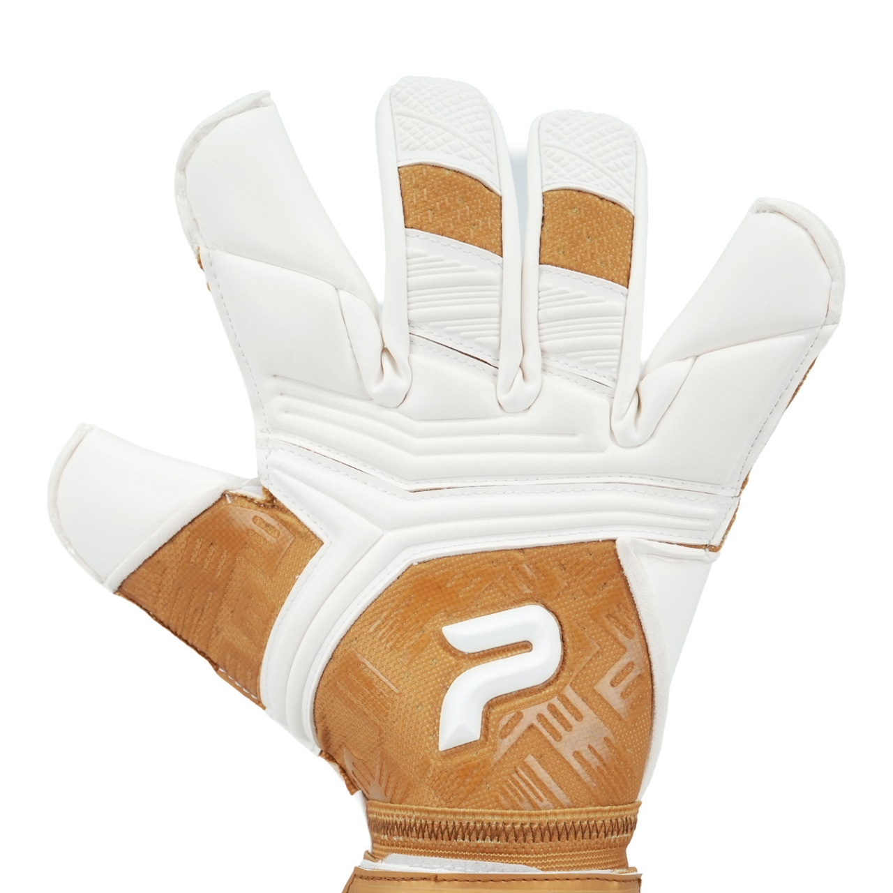 GLORY 5.0 GOLD EDITION PRO
