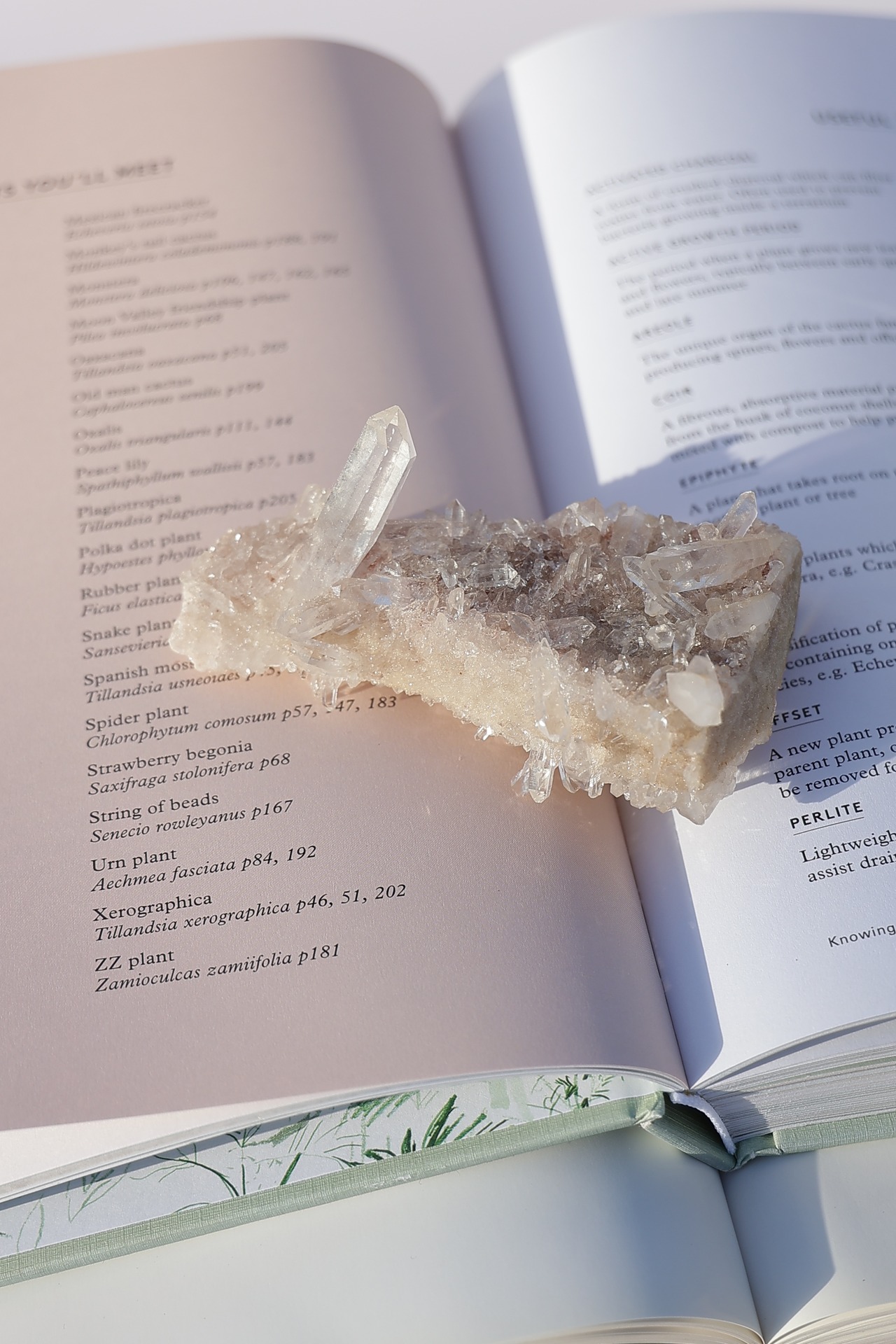 ヒマラヤクォーツ 「幸せの１ピース」| himalaya Qaurts  ◇ 天然石・鉱物・パワーストーン・原石