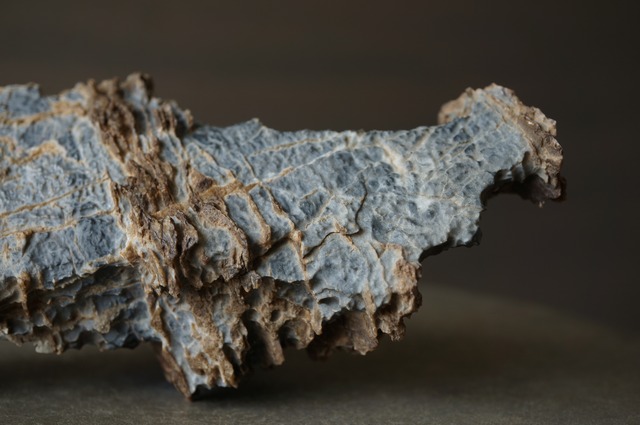 ゴビ砂漠産風凌石 Fengling Stone 2375