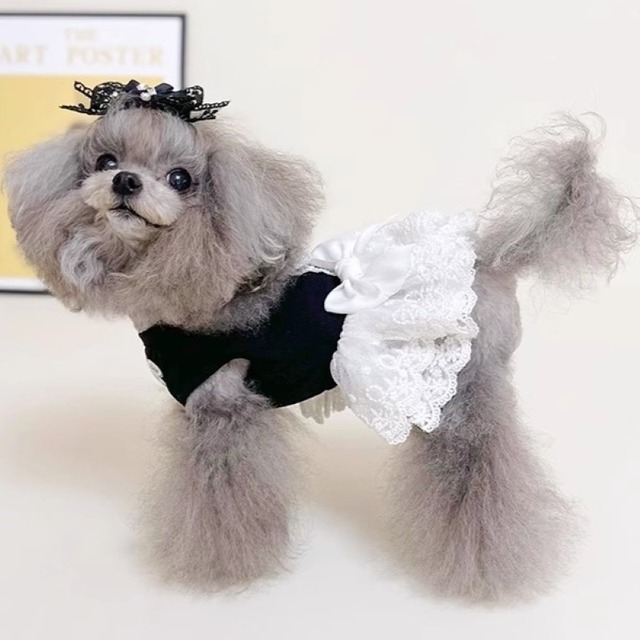 レースフリルのモノトーンドレス　犬服　00196