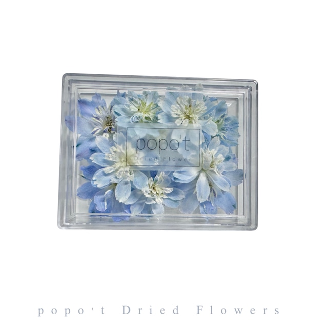 \希少品種/デルフィニウム　コスモ　BOX