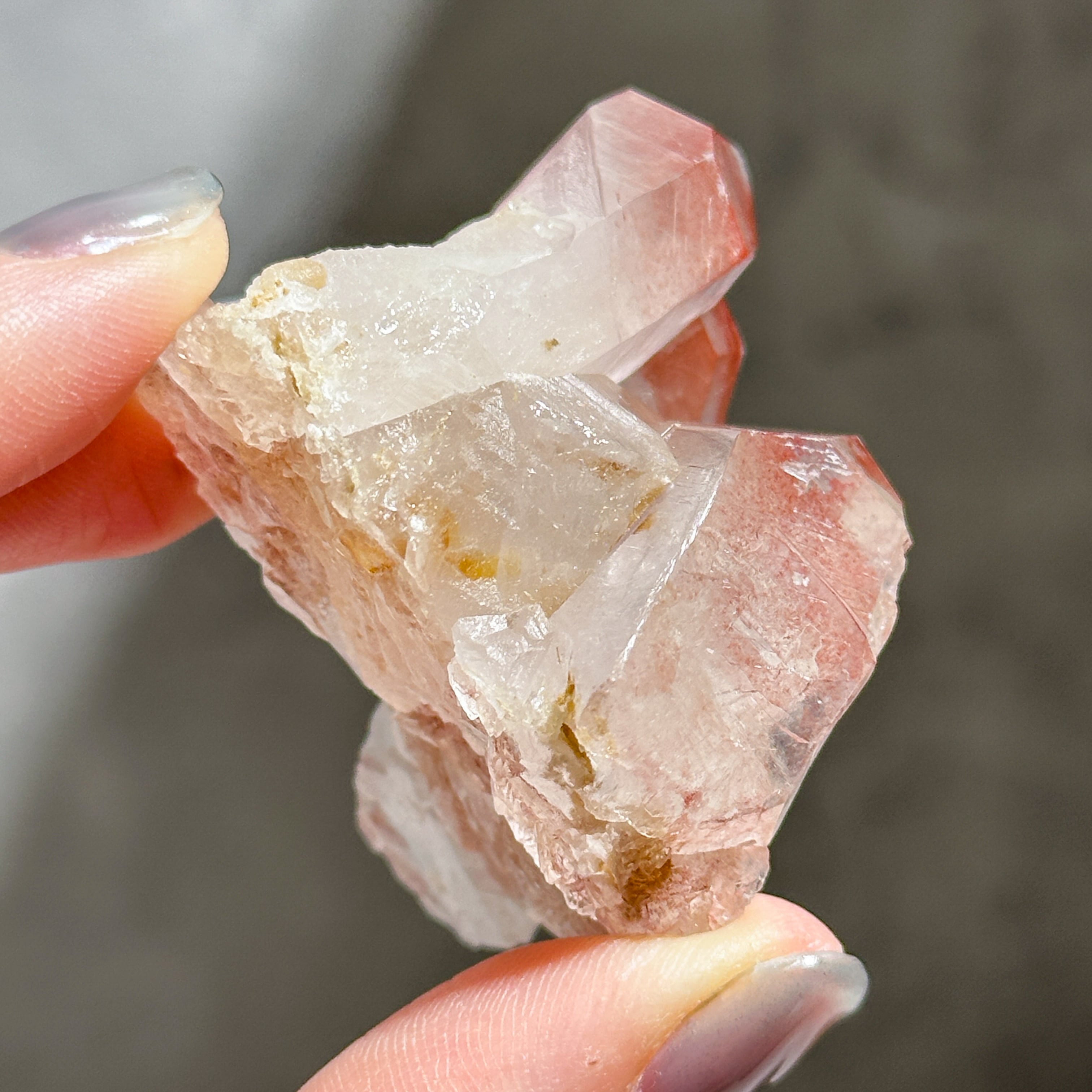 レコードキーパー有り◎ディアマンティーナ産ピンクレムリアン