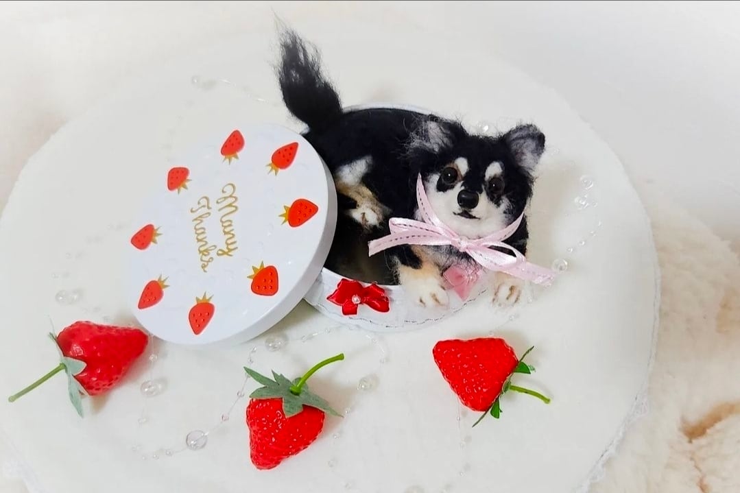 うちの子ペット 犬 猫 ペット 犬 羊毛フェルト ぬいぐるみ 犬毛 猫毛
