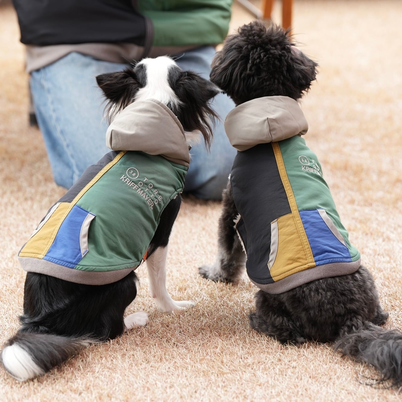 DOGひっくりベスト（MULTI-COLOR） | 38explore