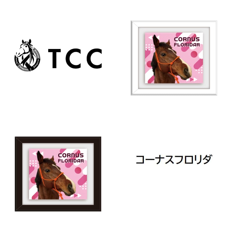 ジェネラス　種牡馬　頭絡プレート　競馬 TCC x 馬Site TCCホース額縁マグネット ア～カ行 | TCC ONLINE STORE