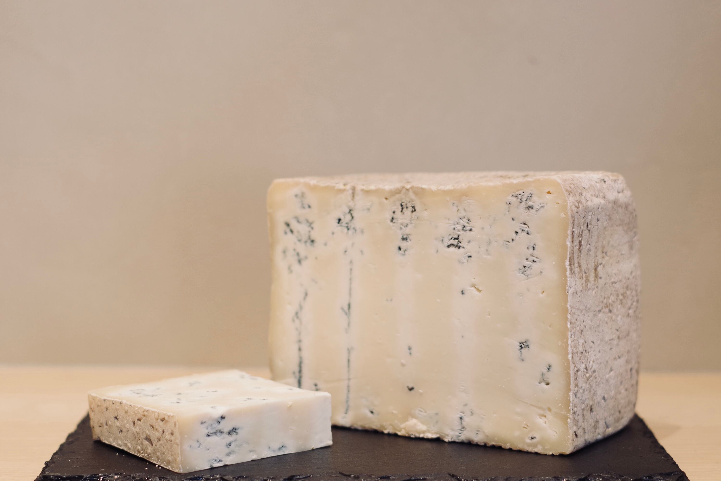 ブルチー様 マイクロサキソニーシャツパーカー≪手洗い可能≫ | ketty（ケティ