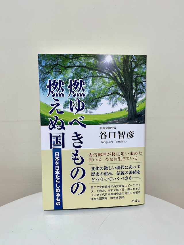 燃ゆべきものの燃えぬ国―日本を日本たらしめるもの
