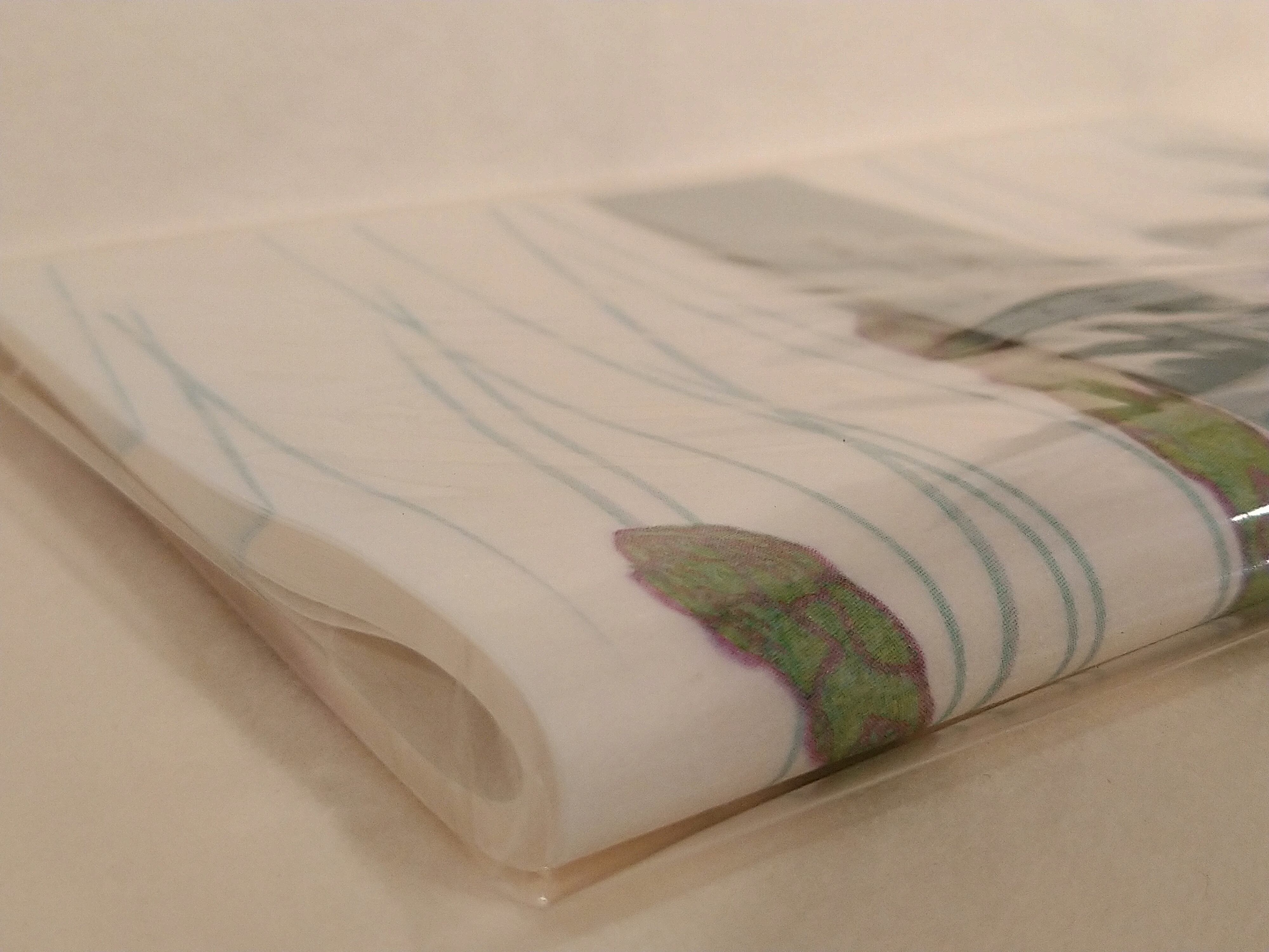 雨玉舎 懐紙24枚入（アスパラ） | 工房NICHT（ニヒト）