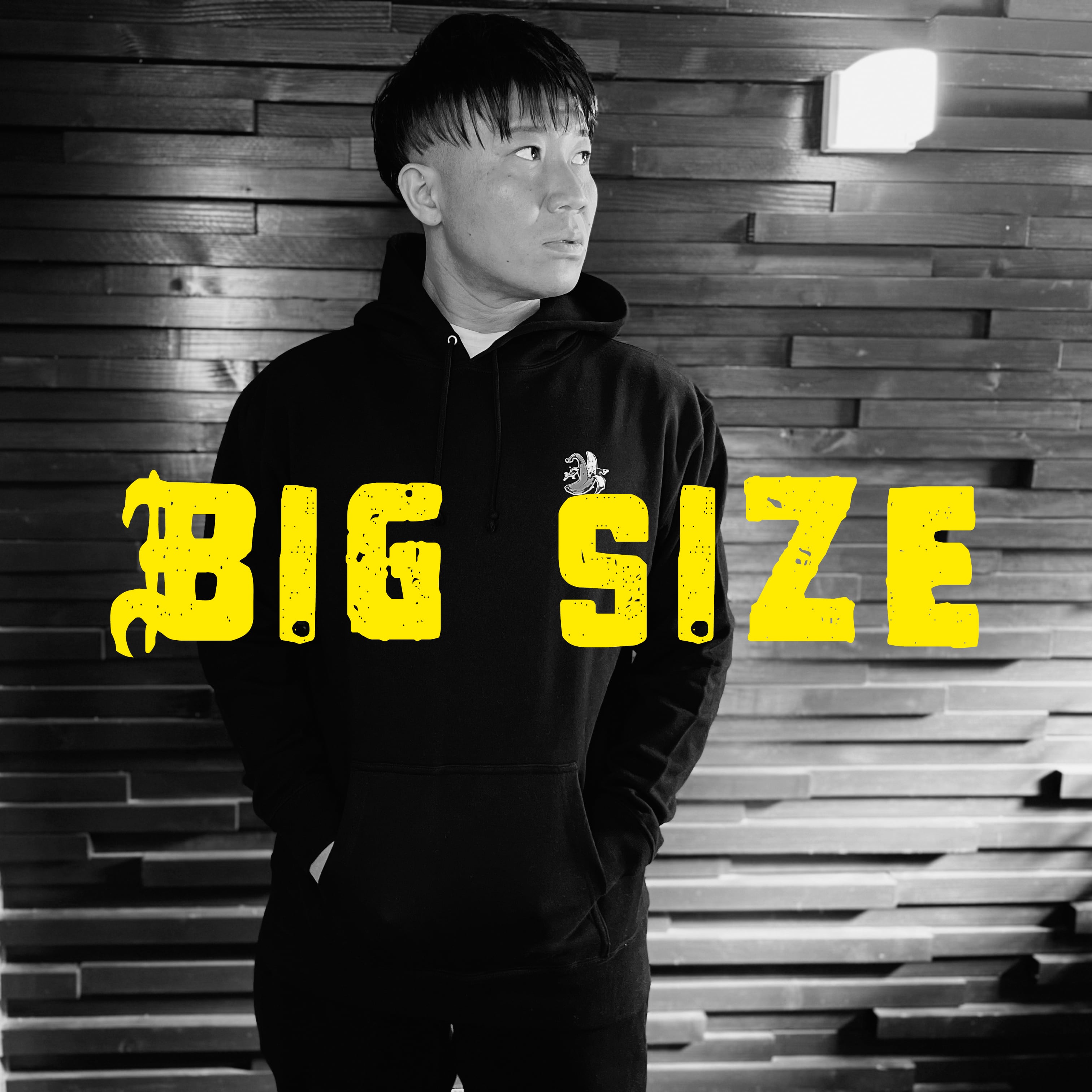 BIG HOODIE ブラック Mサイズ