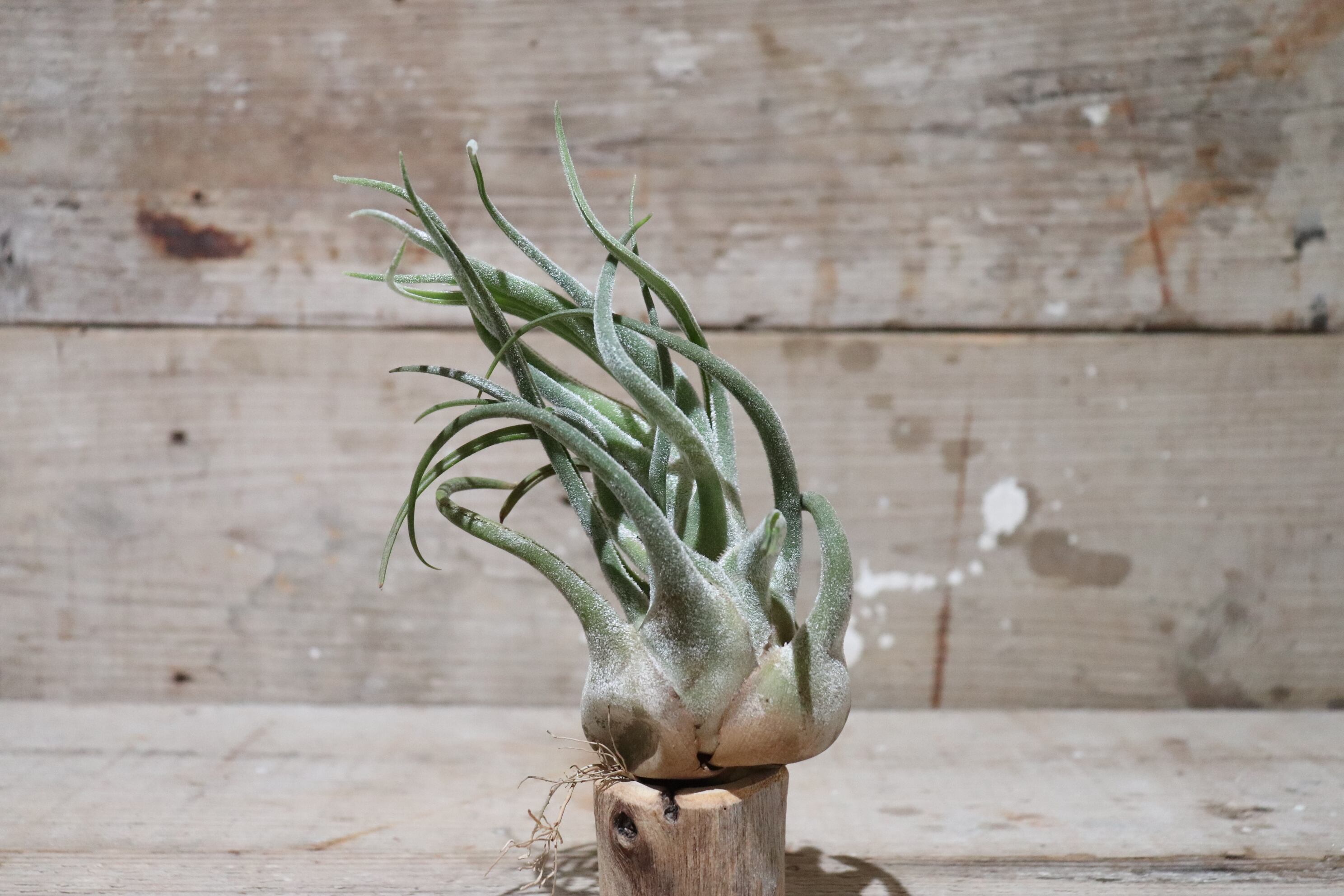 1a3c437319f19d4db89a287d9c769e