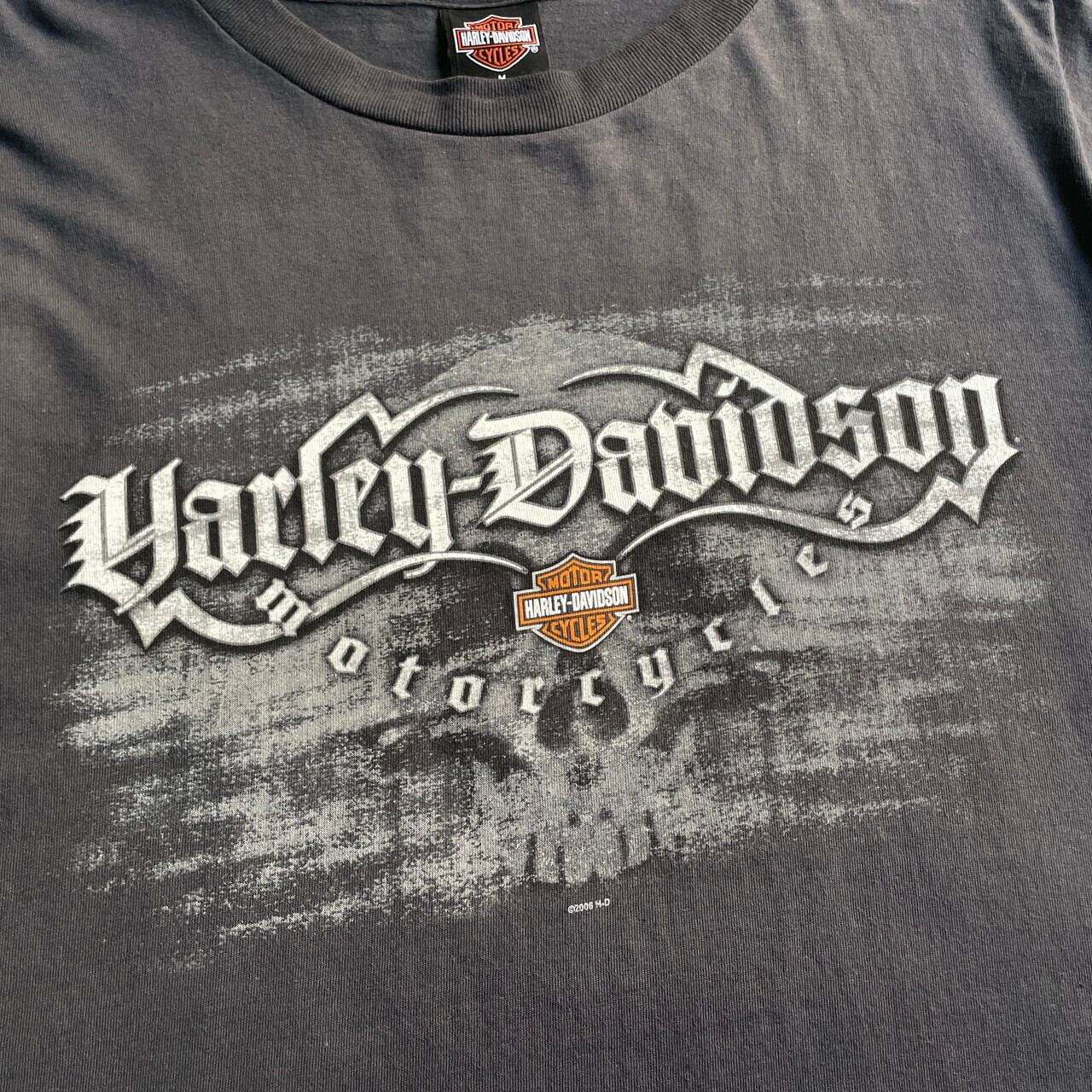 90s 00s ハーレーダビットソン　ロンT 両面プリント　鬼フェード 90s 00s ハーレーダビットソン ロンT 両面プリント 鬼フェード