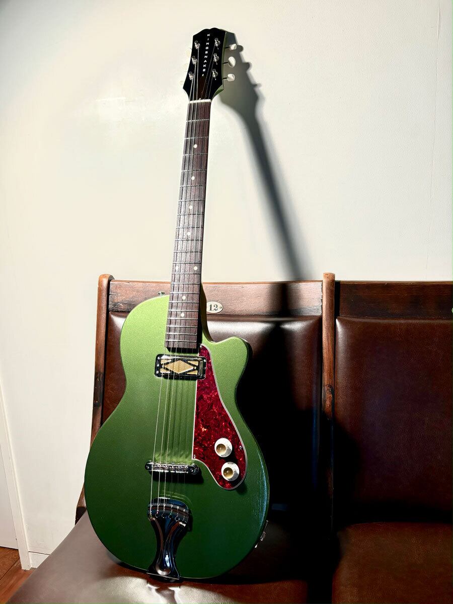 Tourus Handmade Pickups うねる Gravity