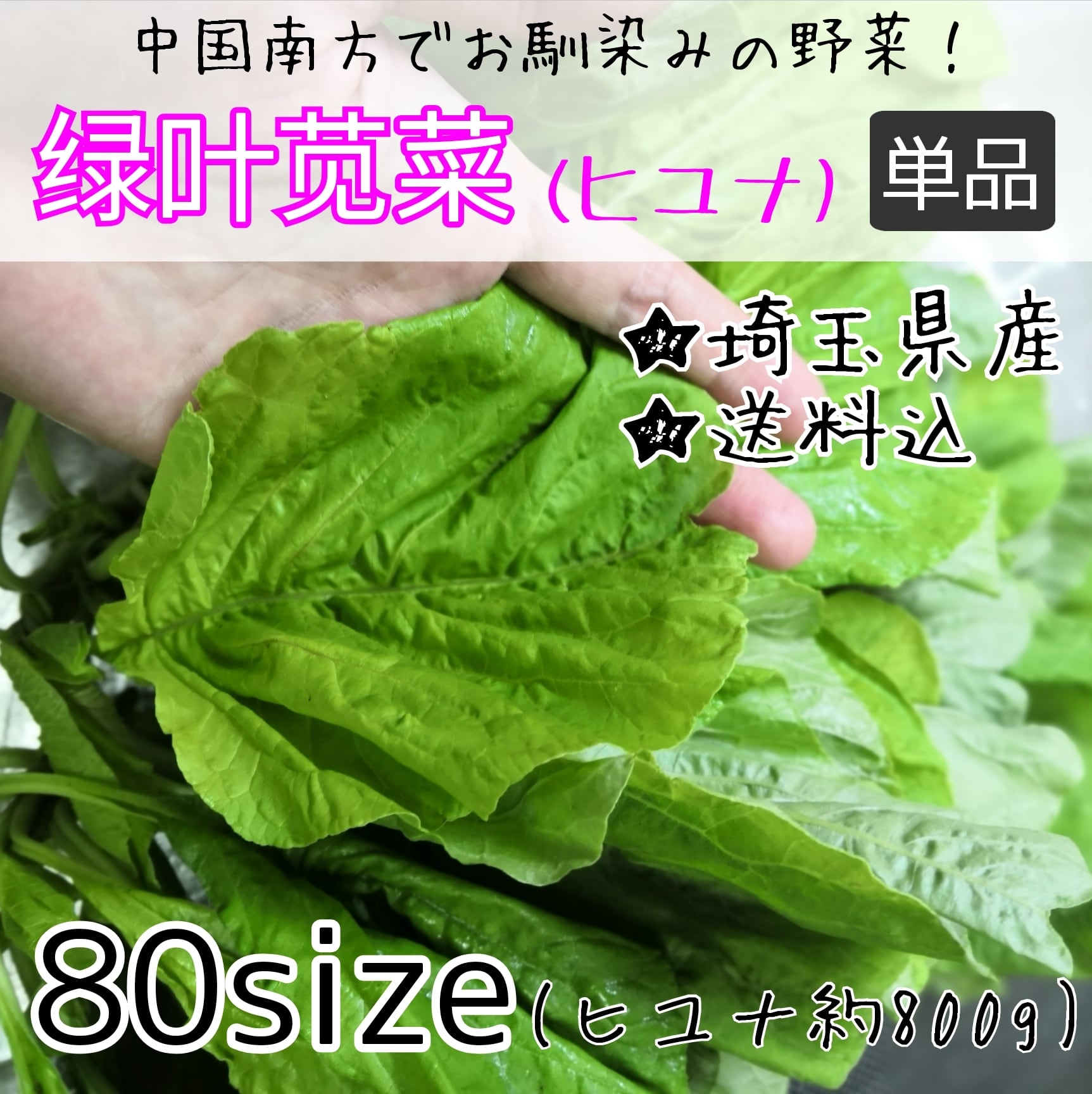 苋菜ヒユナ 埼玉県産 珍しい中国野菜   茉莉商店