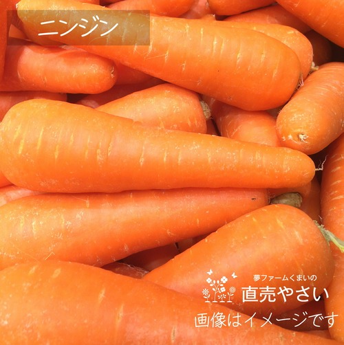 6月の新鮮野菜 ： ニンジン　約400g  朝採り直売野菜　6月24日発送予定