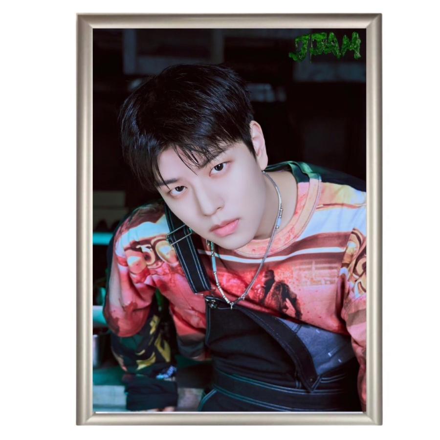 スンミン StrayKids ストレイキッズ スキズ フォトプレート 額入り
