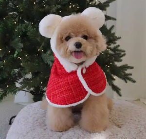 クリスマスケープ⭐︎在庫少なめ