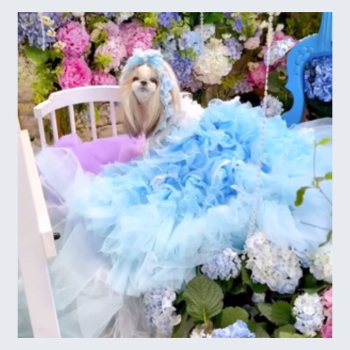 予約（海外ハンドメイド）【№B01244】フリフリ チュチュ  ロングドレス（2カラー）