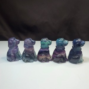 可愛い大家族☆フローライト・犬