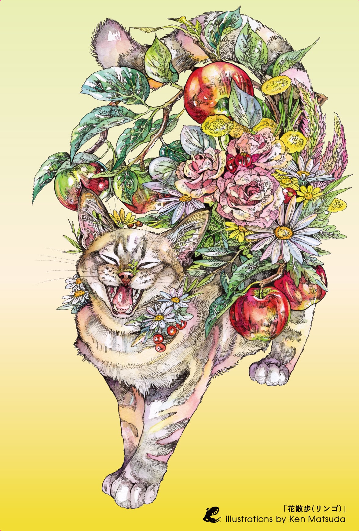 クリアポストカード | KEN MATSUDA ONLINE STORE