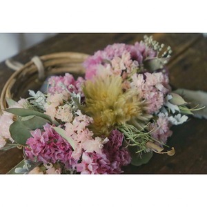 WR#245 ハーフリース