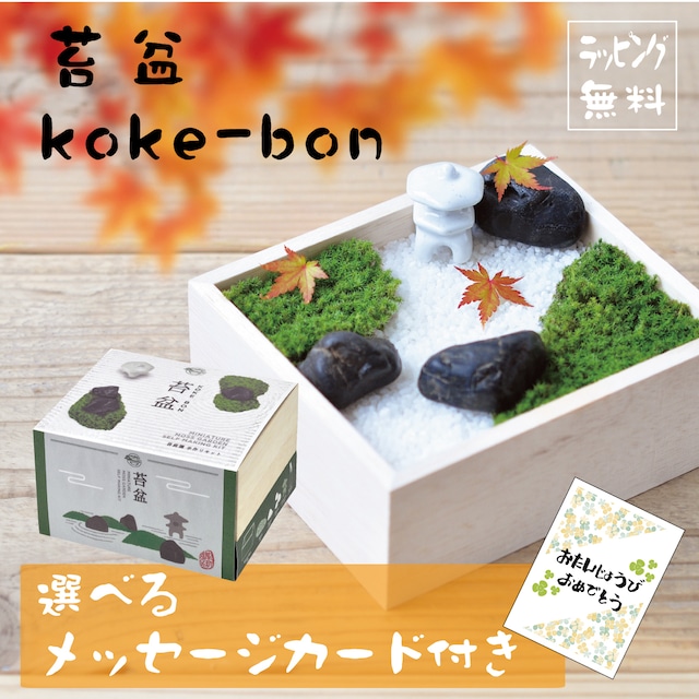 【プレゼント】苔盆/選べるメッセージカード付き/誕生日/和/庭園手作りキット