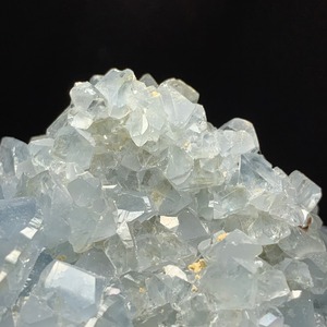 5セレスタイトに住み着いているフローライトハリネズミさん