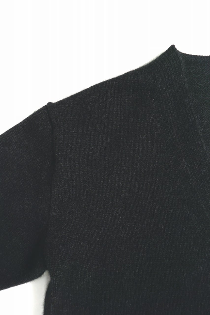 Hand Framed Blue Fox C/D