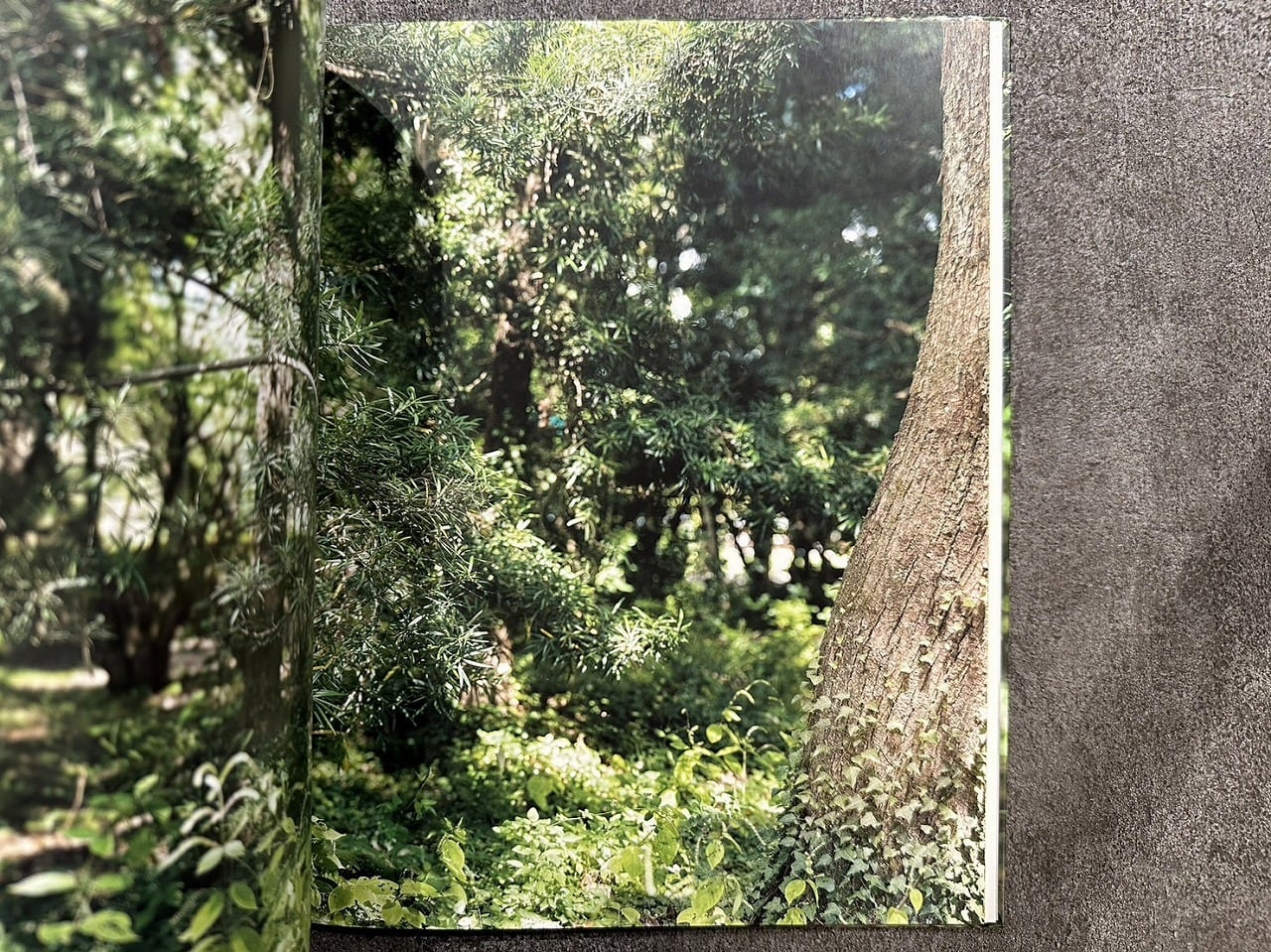 大島成己 / haptic green【プリント付】 【公式通販】