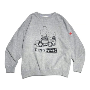 SLEEPY EINSTEIN BIG CREWNECK SWEAT / HEAD GOONIE