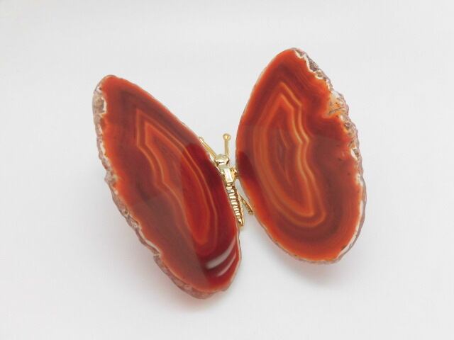 【瑪瑙】　ゴージャス蝶々　no.5