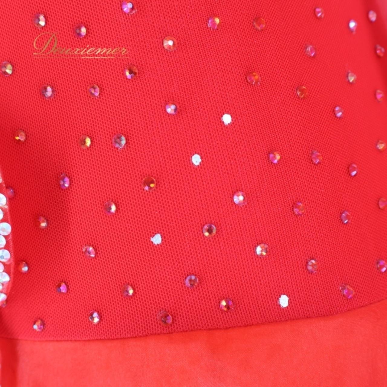 社交ダンス 衣装 スタンダードドレス ドレス ワンピース スタンダード 赤 デモ 競技 ダンス パーティ 発表会 フリル フロート レース 花 ボリューム 綺麗 高級感 レッド系 大きな花モチーフ パール スカート3枚重ね ステージ衣装 輝き おしゃれ