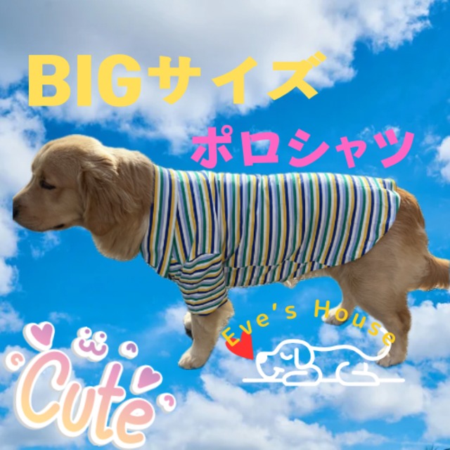 犬　服　韓国風　春服　可愛い　大型犬　中型犬　