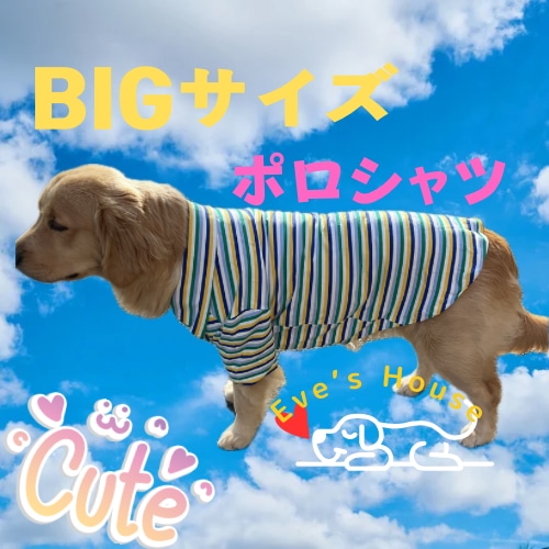 犬 服 可愛い ポロシャツ 大型犬