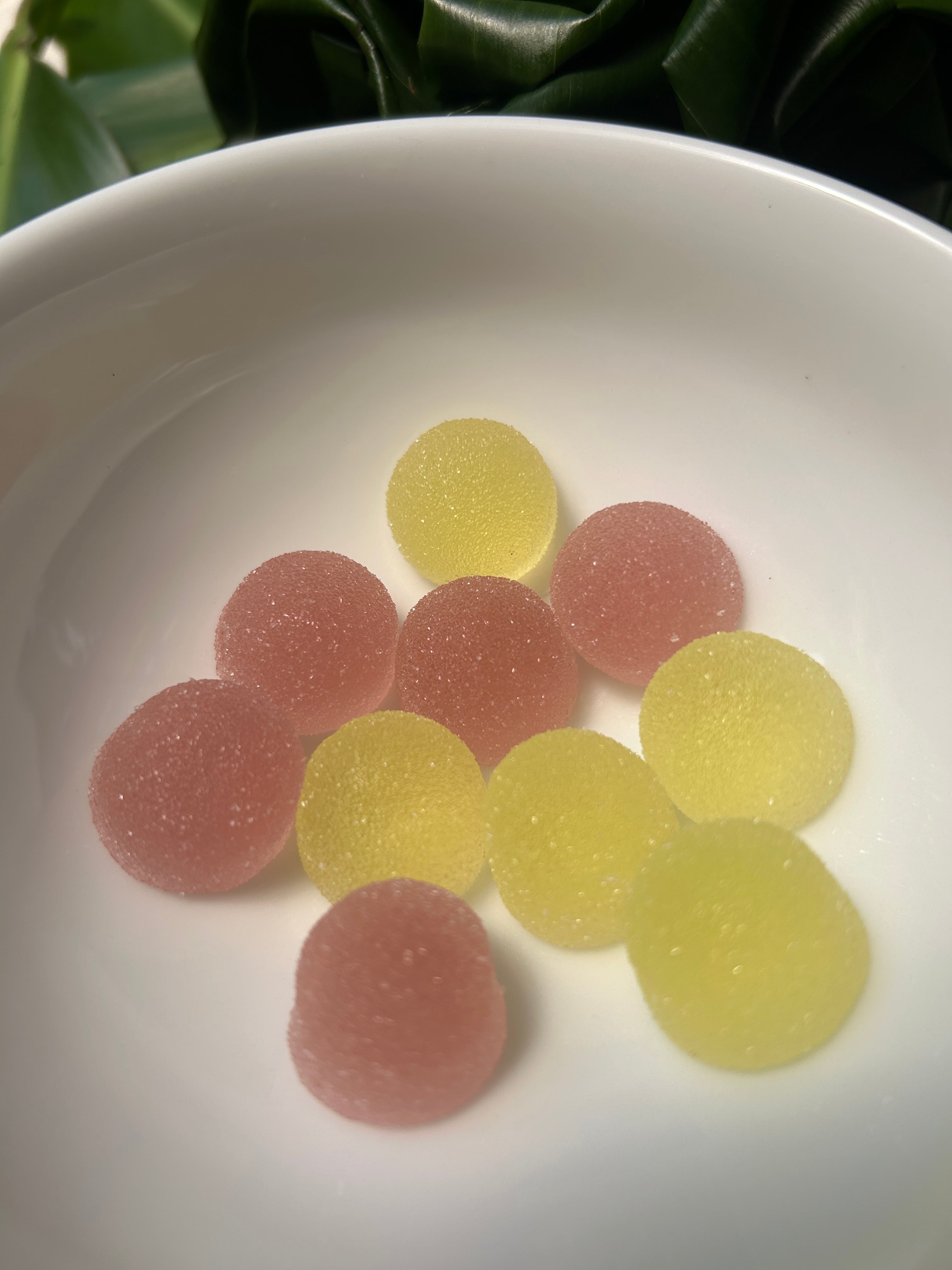 マーメイドの宝石箱 レモン味 | 小笠原土産のノスリ工房