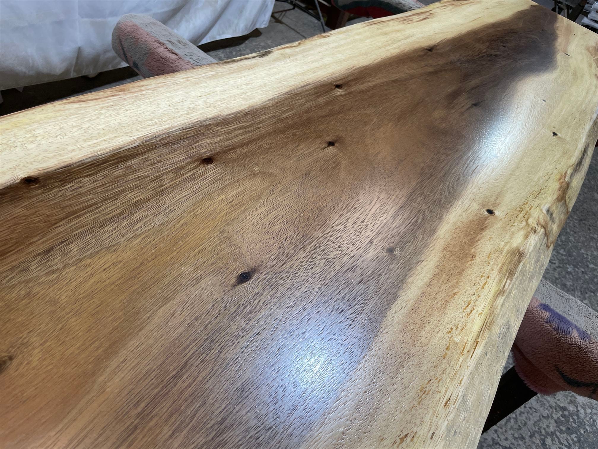 モンキーポッド9113 一枚板無垢 乾燥材 2480x580-520x52mm