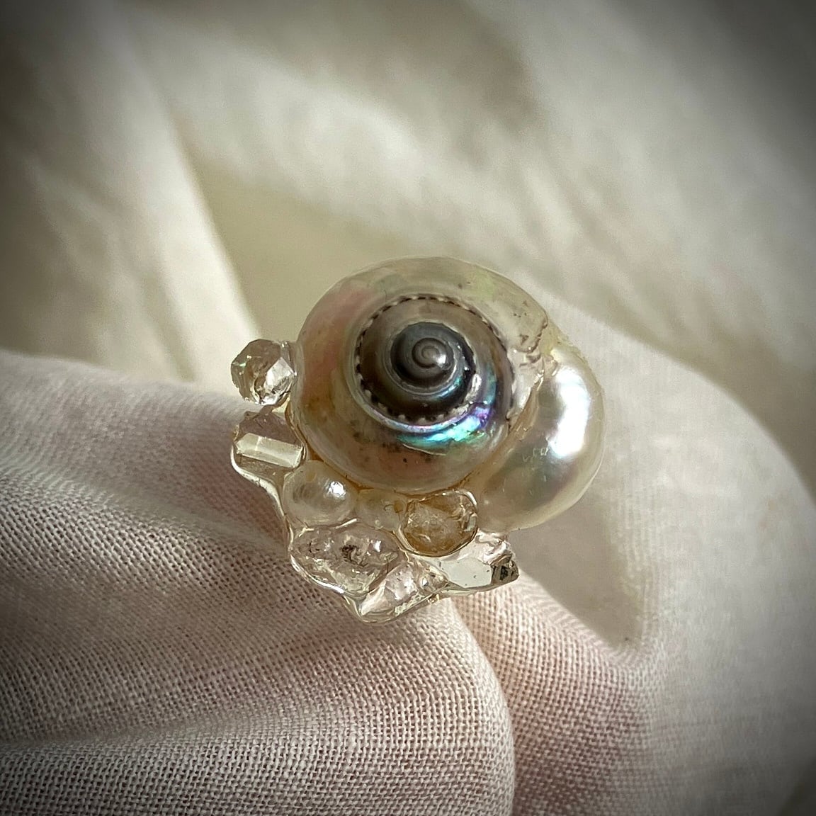 Vargula hilgendorfii 海蛍 ピンブローチ 1点もの | simon