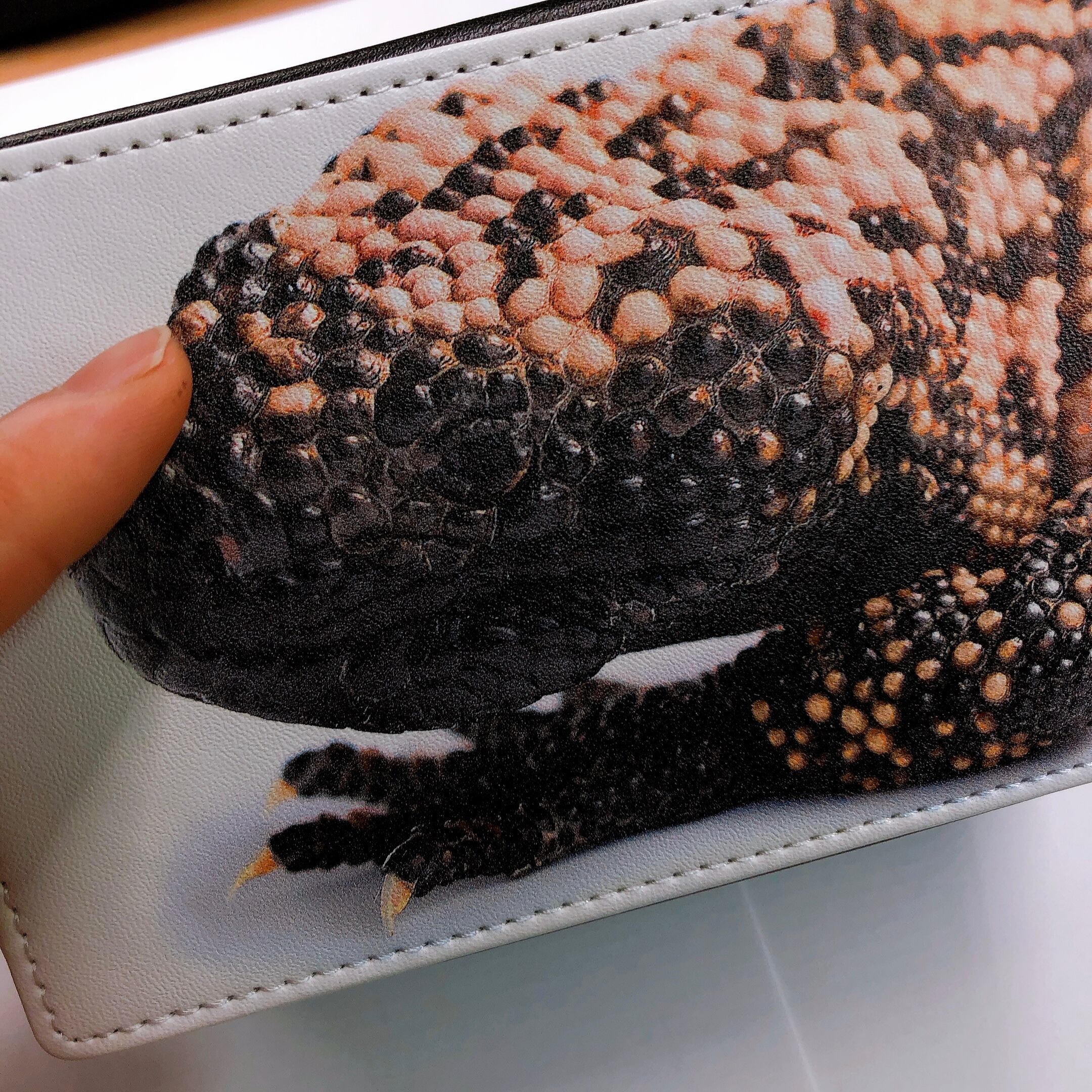 アメリカドクトカゲのスクエアケース | argon