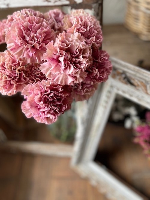 ！◆お母さんに花を贈ろう＊カーネーションのシンプルstandingBouquet 3800円