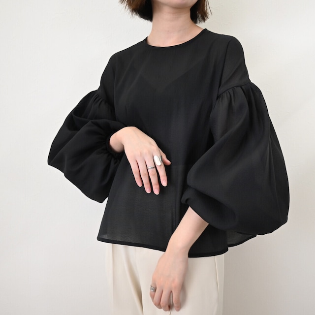 Washer sheer volume sleeve blouse