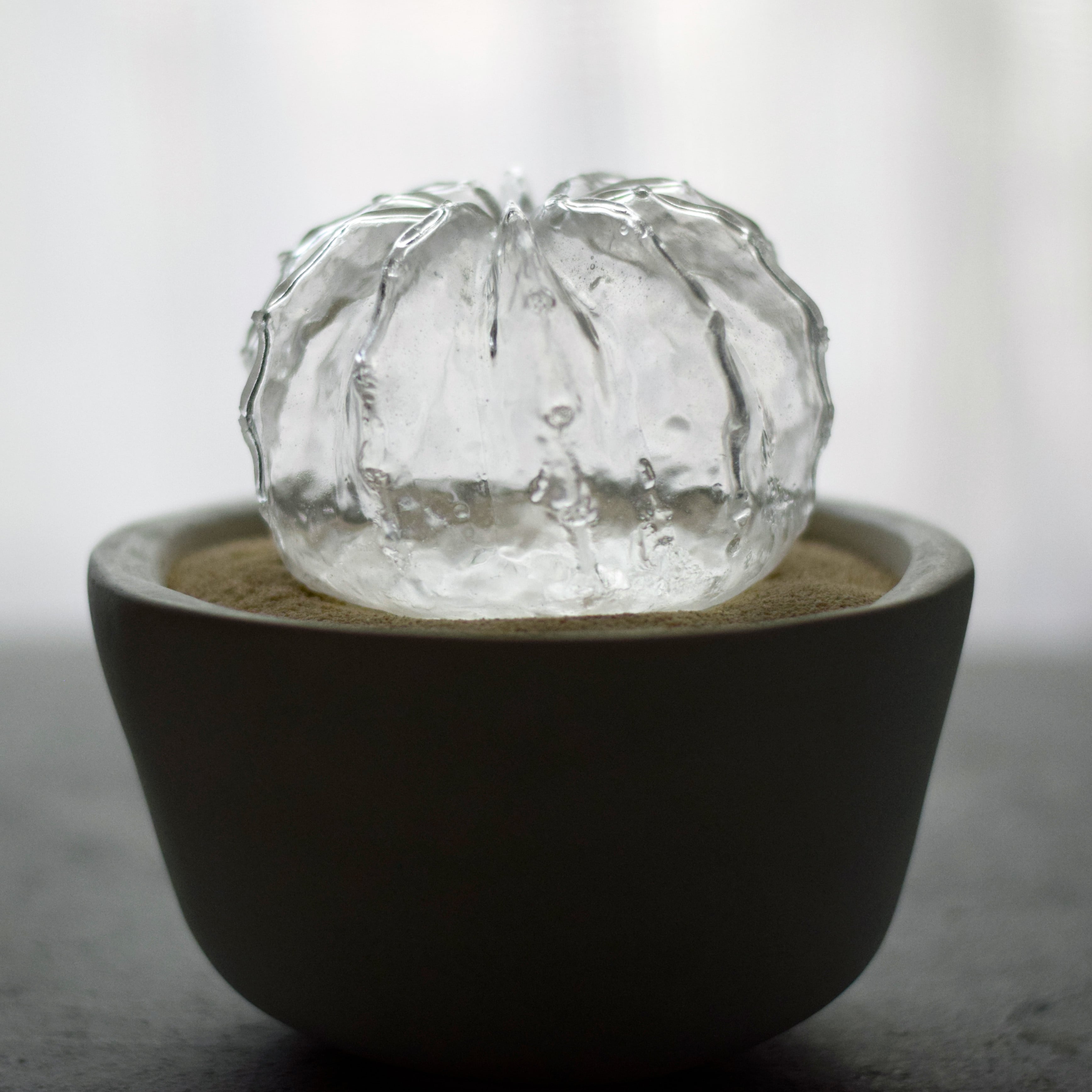 透明サボテン 007 a | Sabotensi