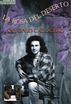 AMB1092 La Rosa Del Deserto / Antonio Calogero （TAB譜）