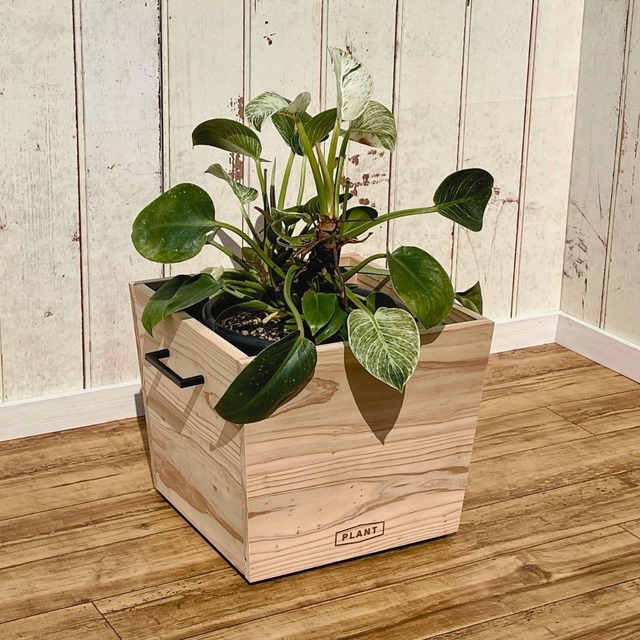 【送料無料】シダーBOX(木製プランターカバー) 宮崎県産杉使用