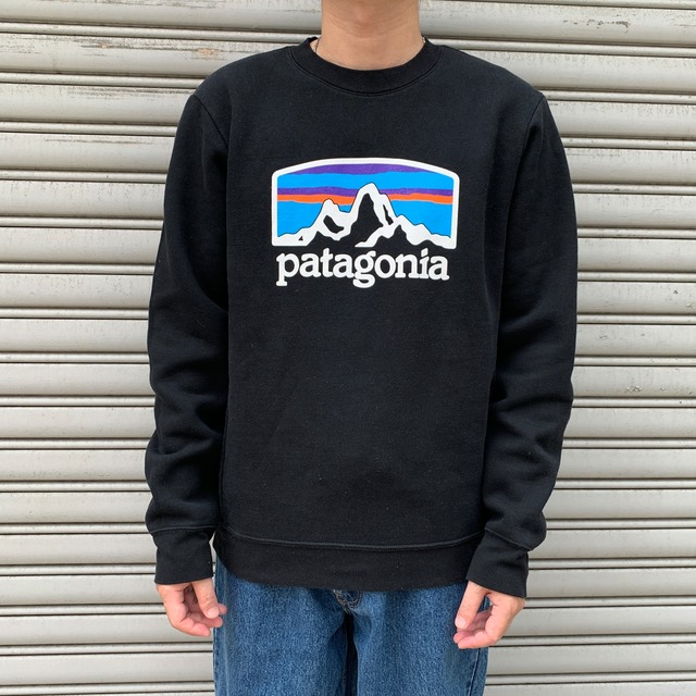 patagonia フィッツロイホライゾンズアップライザルスウェット 黒 S
