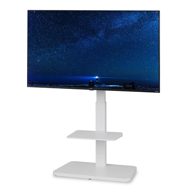 WALL 【デザイン賞4冠】A2 CASTER BASE テレビスタンド 超低床 隠し