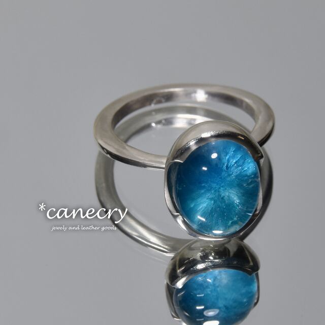 カバンサイトのリング