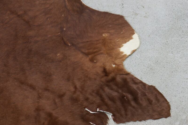 牛革 本革 カウラグ 220×197 カーペット 絨毯 敷物 大判 毛皮 ブラウン