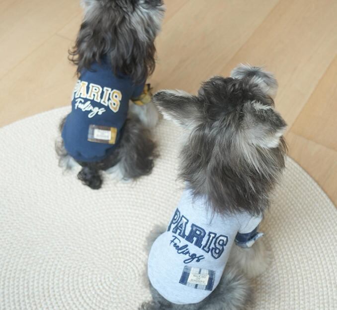 〖予約〗1103222 PARISお揃いトップス