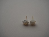 【 WAVE 】shell ROSE pierce (medium)