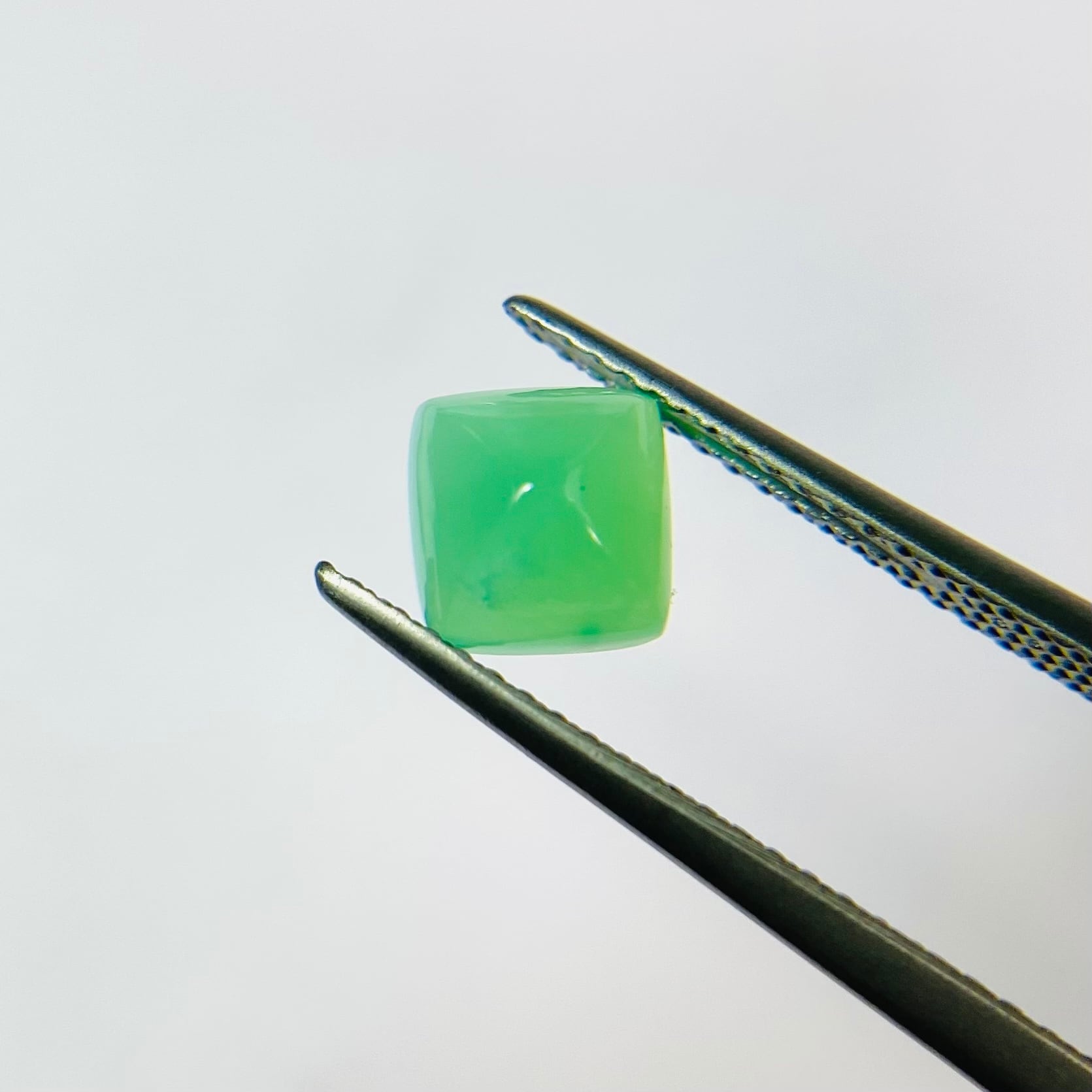 初売! シュガーローフ3色セット